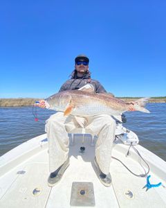 Lone angler fishing in New Bern