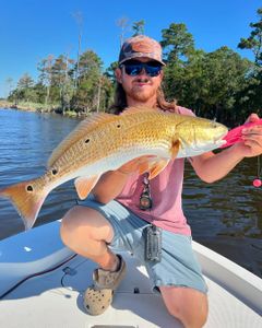 Redfish caught in NC