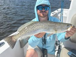 Spotted Weakfish caught while fishing in NC