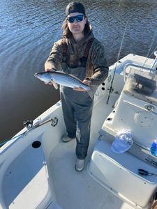Angler fishing for spotted weakfish in North Carolina