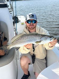 Spotted Weakfish caught during fishing in NC