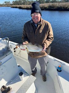 Spotted Weakfish caught while fishing in New Bern