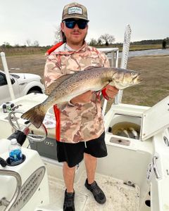 Spotted weakfish caught while fishing in NC