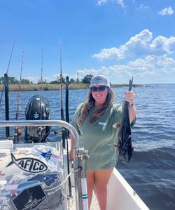 Wels catfish caught while fishing in NC
