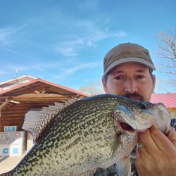 A crappie fish caught in Salisbury, measuring 16 inches.