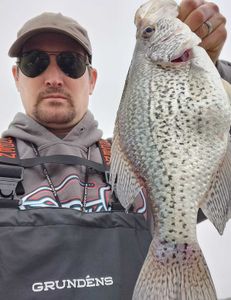 Crappie fish caught in Salisbury