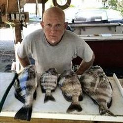 Sheepshead Haul at Galveston Fishing Charters