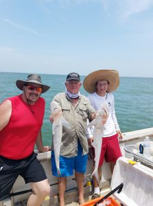Two blue catfish, each 22 inches long, caught while fishing in Galveston