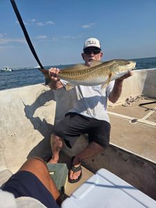 Redfish caught while fishing in Galveston