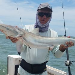 One angler holding a large fish in Texas