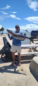 Cobia fish caught by angler in FL