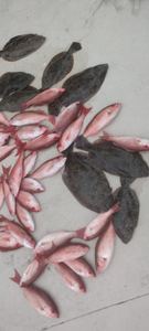 Fishing adventure in FL