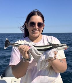 Avid angler reeling in a catch in the sunshine of Florida