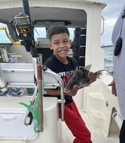 Angler fishing in Florida