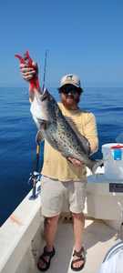 Gag grouper fish caught in FL