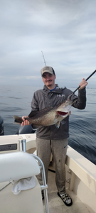 Gag grouper fish caught in Panama City