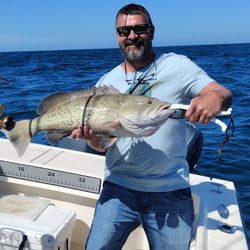 Gag grouper caught fishing in Panama City