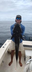 Impressive King Mackerel caught while fishing in FL
