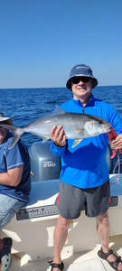 Longfin Yellowtail, a 24-inch fish caught while fishing in FL