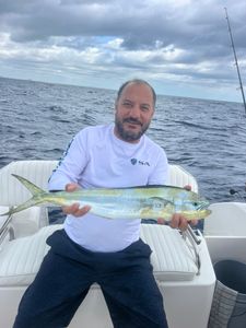 Mahi Mahi Catch In West Palm Beach 