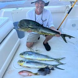 4 big fish caught while cruising and fishing in West Palm Beach