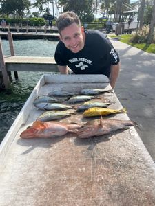 4 fish caught on a cruises and fishing trip in West Palm Beach