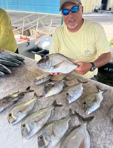6 scup fish caught in FL