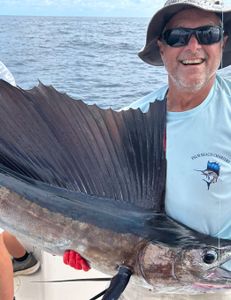 One Atlantic Sailfish caught during a cruises and fishing trip in FL