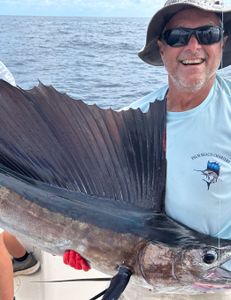 A majestic Atlantic Sailfish in the waters off West Palm Beach