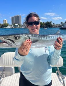 Barracuda out of west palm Beach 