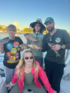 4 Atlantic Bonito and White Grunt fish caught in FL