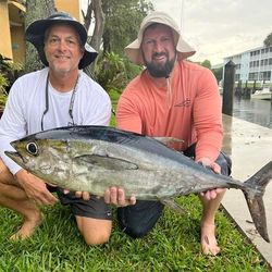 Dogtooth tuna, 34-inch big fish caught by 2 anglers in FL