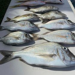 8 fishing boats in the waters of FL