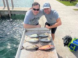 4 fish caught during fishing cruises in West Palm Beach