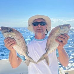 Two 14-inch fish caught while fishing and cruising in FL