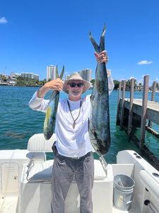 Two king mackerel, 27 inches long, caught in FL on cruises, fishing trips