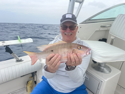 Mutton snappers out of West Palm Beach 