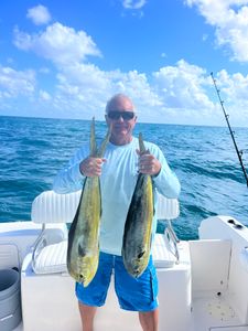 Bright Mahi pair