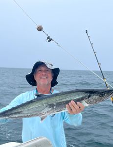 King Mackerel caught in FL on cruises, fishing