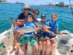 Three Little Tunny fish caught during a cruises and fishing trip in West Palm Beach