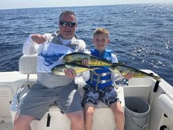 Three bluefish caught during a fishing and cruising trip in FL