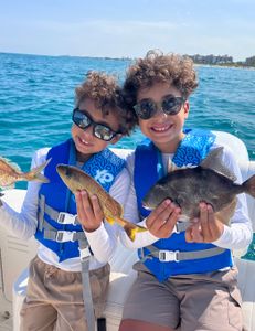 Two grey triggerfish caught while fishing in FL