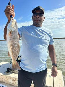 Reeled in this Red Drum! Matagorda fishing rocks!