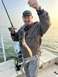 American Eel caught while fishing in Matagorda TX