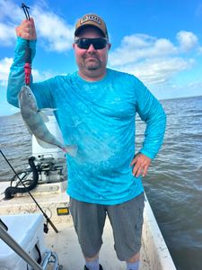 Black drum fish caught on fishing charter boat in Matagorda TX waters