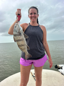 Beautiful Black Drum from Matagorda Bay!