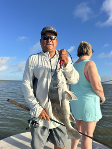 Beautiful Matagorda Bay black drum caught on light tackle!