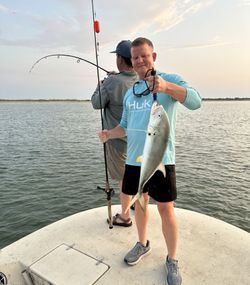 Crevalle jack catch displayed on fishing boat in Matagorda TX waters