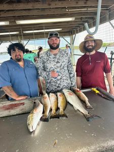 4 people fishing with 5 fish caught at Matagorda