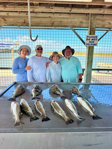 Mixed bag of speckled trout and sheepshead from Matagorda Bay!